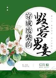 穿成废柴的毁容男妻番外