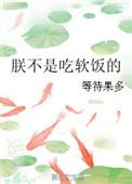 朕不是吃软饭的 等待果多