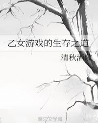 乙女游戏的定义