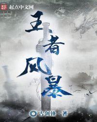 王者风暴百度百科
