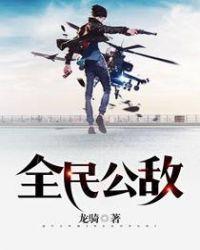 全民公敌游戏
