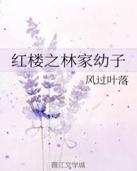 红楼之林家幼子球球