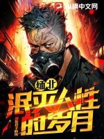 缅北 百度百科