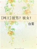 网王之彼岸花开开彼岸