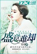 盛意的意思是什么