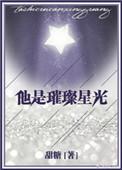 他是璀璨星光 甜糖无防盗