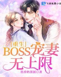 重生boss的私宠妻