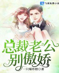 宠妻入骨总裁老公别乱来
