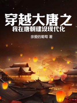 穿越之我在大唐开
