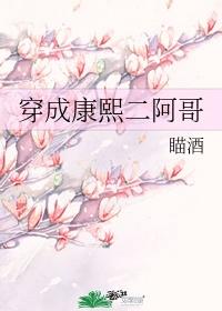 穿成康熙二阿哥TXT