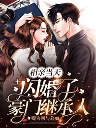 相亲当天闪婚了豪门继承人海彤
