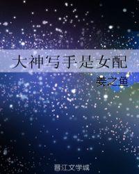 大神写手收入