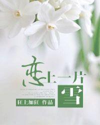恋上一片雪简介
