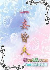 一妾皆夫百度txt