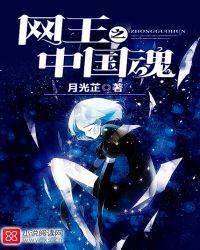 网王之中国魂晋江