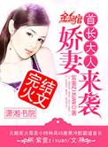 娇妻来袭全文阅读