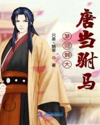 回到大唐当驸马的