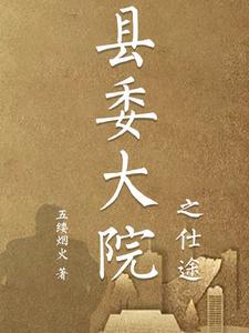 县委大院之仕途五滤烟火