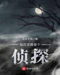 他是个侦探