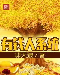 有钱系统流