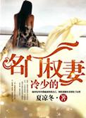 权门冷少蜜宠枭妻无弹窗