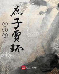 红楼之庶子贾环 轻吐月光寒
