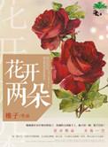 各表一枝什么叙述