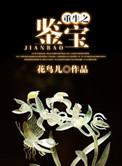 重生之鉴宝捡漏王2短剧