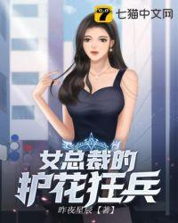 女总裁的护花高手txt