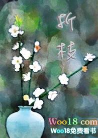 折枝的所有