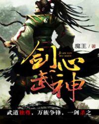 剑心武神下一部