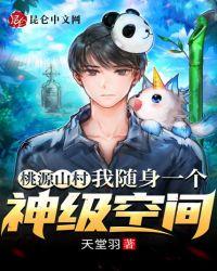 桃源山村免费阅读全文