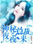 神秘总裁夜夜来 第4章