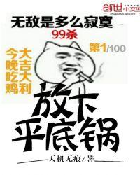 停平底锅