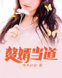 赘婿当道短剧免费完整版