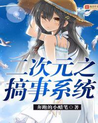 二次元系统文