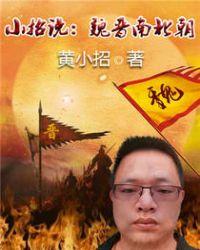 小招说魏晋南北朝 黄小招epub