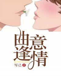 曲意逢情免费阅读txt