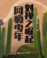网瘾少年刘禅之崛起rar