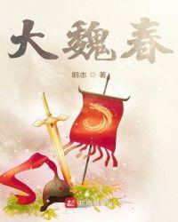 大魏春讲的什么