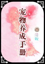 宠物系养成