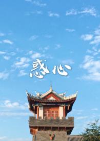 惑心(古言 )讲了什么