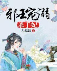 邪王宠溺杀手妃TxT