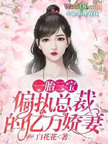 一胎仨宝