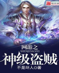网游之神级盗贼 漂泊的书生