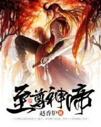 陆鸣至尊神殿书名