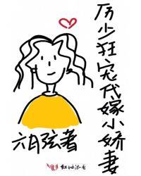 厉少的替嫁