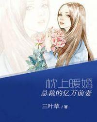 总裁的枕上甜妻安盛夏