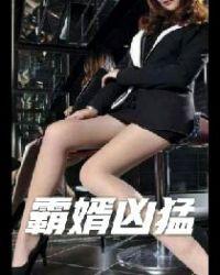 霸婿全集免费阅读落秋中文