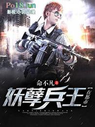 妖孽兵王在都市夜袭凉